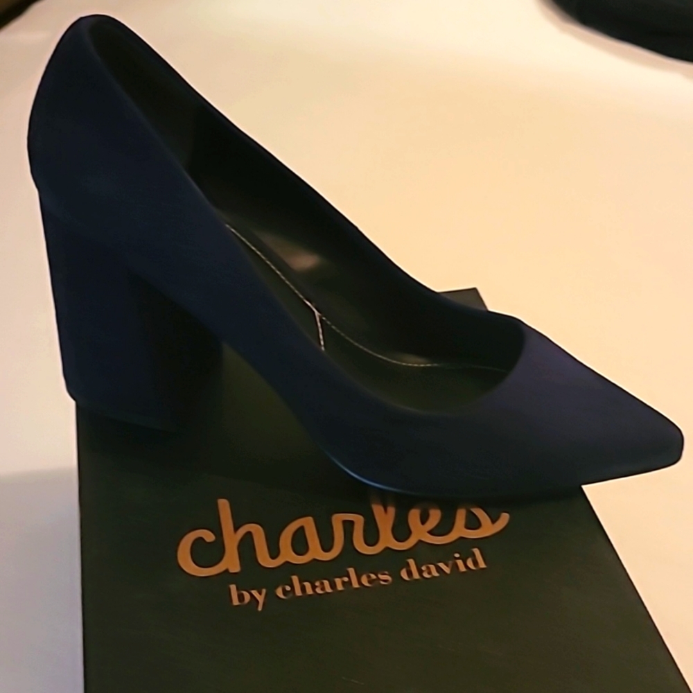 Charles by Charles David navy pump.